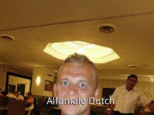 Alfamale_Dutch