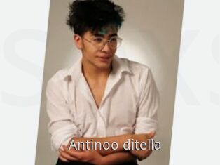 Antinoo_ditella