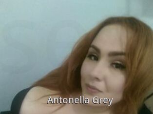 Antonella_Grey