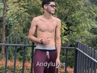 Andylukee