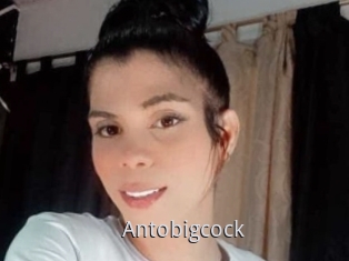 Antobigcock