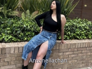 Antonellachan