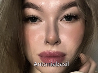 Antoniabasil