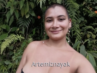 Artemiznayak