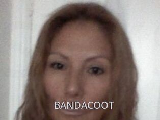 BANDACOOT