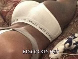 BIGCOCKTS_HOT