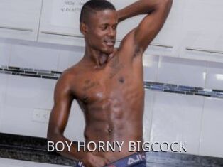 BOY_HORNY_BIGCOCK