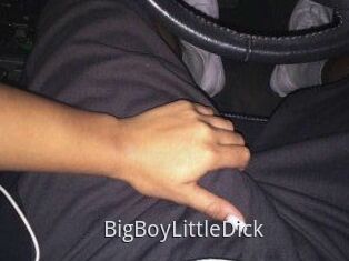 BigBoyLittleDick