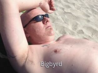 Bigbyrd