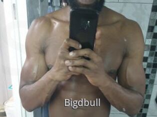 Bigdbull