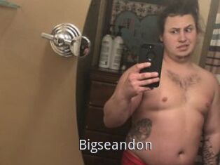 Bigseandon