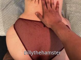 Billythehamster