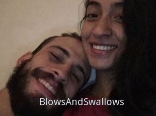 BlowsAndSwallows