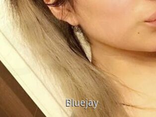 Blue_jay