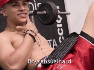 Boysensualhard