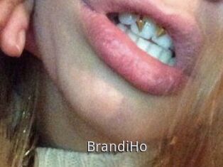 BrandiHo