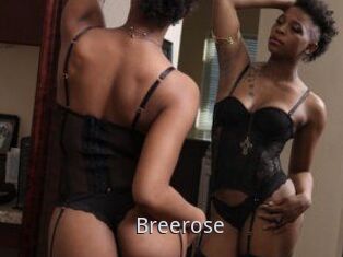 Breerose