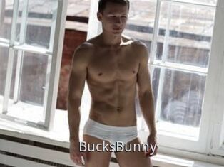 BucksBunny