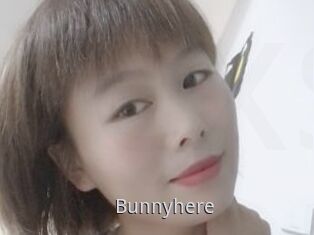 Bunnyhere