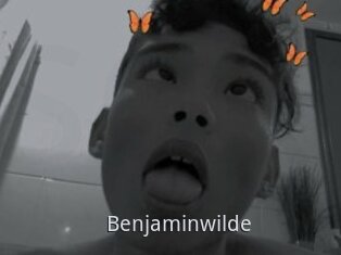 Benjaminwilde