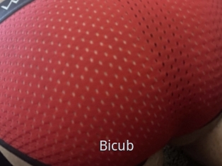 Bicub