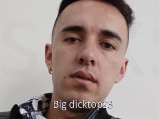 Big_dicktop23