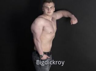 Bigdickroy