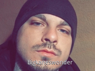 Bigkaneswonder