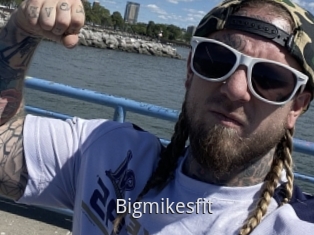 Bigmikesfit