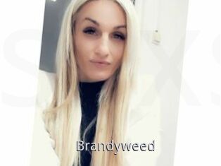 Brandyweed