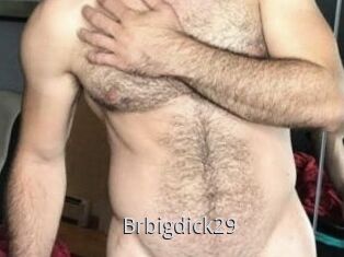 Brbigdick29