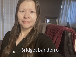 Bridget_banderro