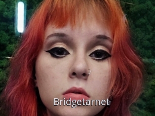 Bridgetarnet