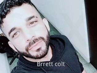 Brrett_colt