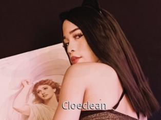 Cloeclean