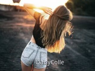 DaisyColle