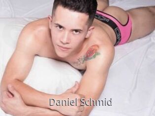 Daniel_Schmid