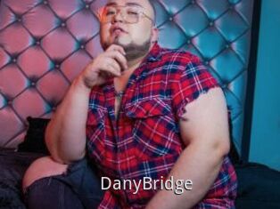 DanyBridge