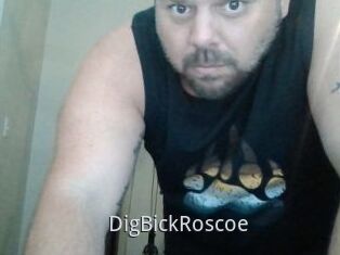 DigBickRoscoe