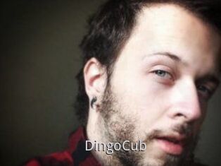 DingoCub