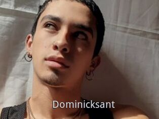 Dominicksant