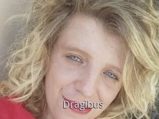 Dragibus