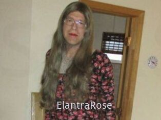 Elantra_Rose