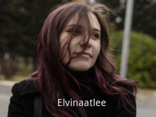 Elvinaatlee