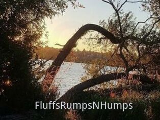 FluffsRumpsNHumps