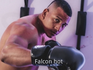 Falcon_hot