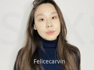 Felicecarvin