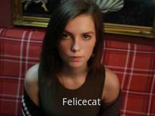 Felicecat