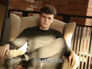 Flashwallis