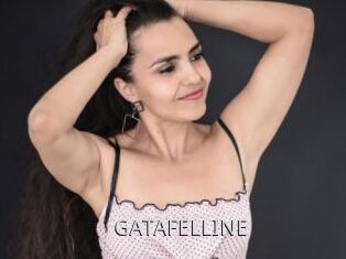 GATAFELLINE